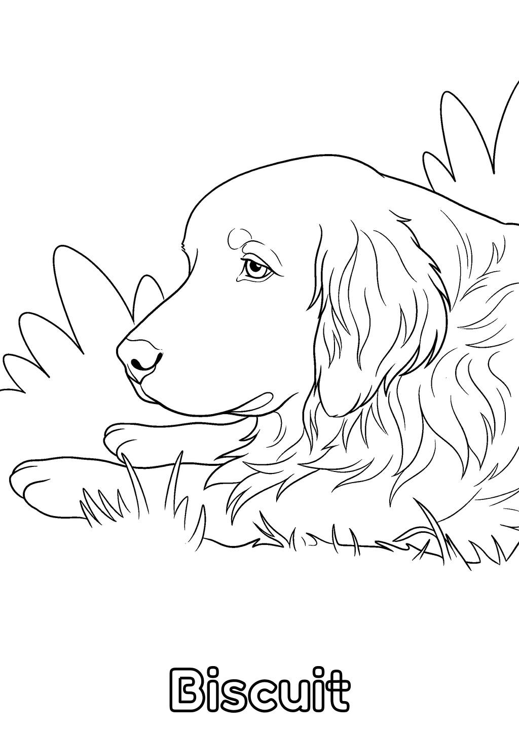 Coloring page of a golden retriever lying on the grass with the name Biscuit in hollow letters